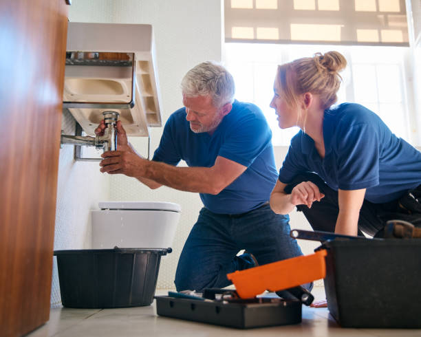 Best Affordable Plumbing Services  in St Helen, MI